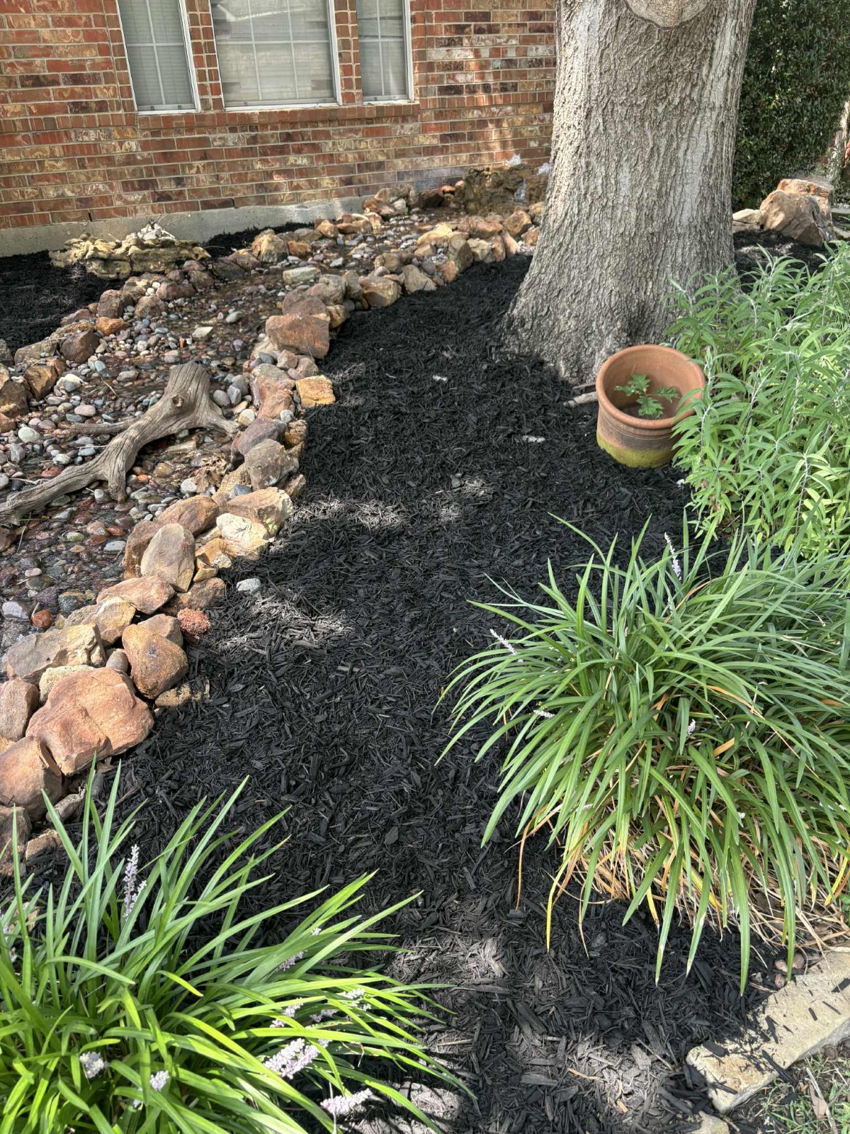 WhatsApp Image 2025-08-01 at 2.13.17 PM (2)