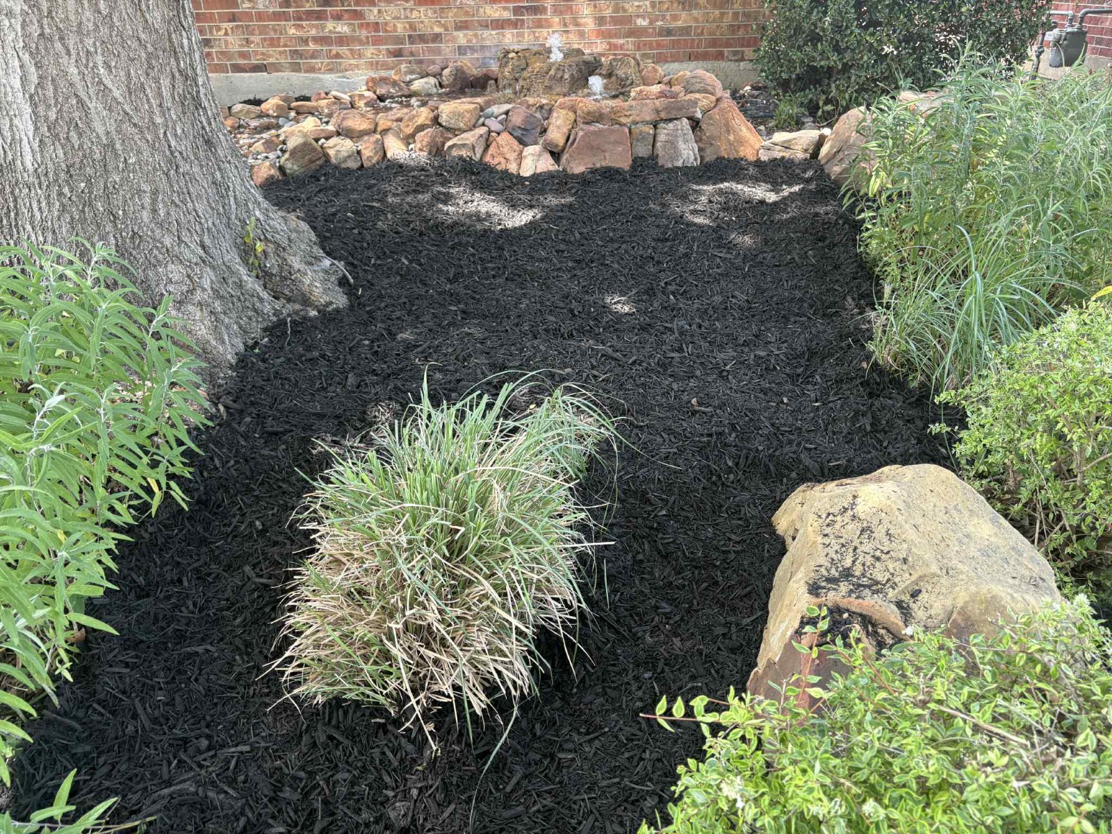 WhatsApp Image 2025-08-01 at 2.13.17 PM