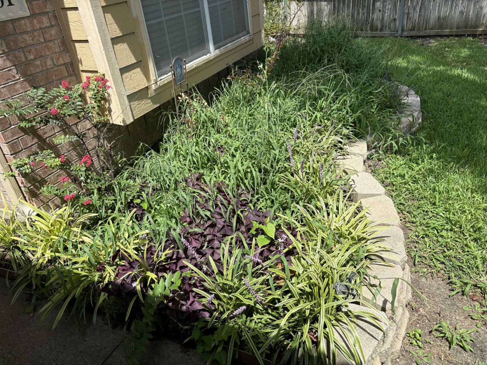 WhatsApp Image 2025-08-01 at 2.13.18 PM (1)