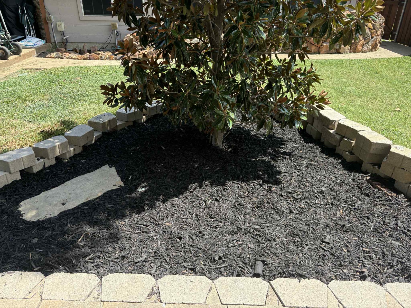 WhatsApp Image 2025-08-01 at 2.13.18 PM